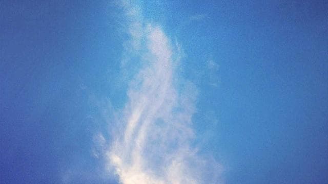 Japanese garden design principles and zen aesthetics