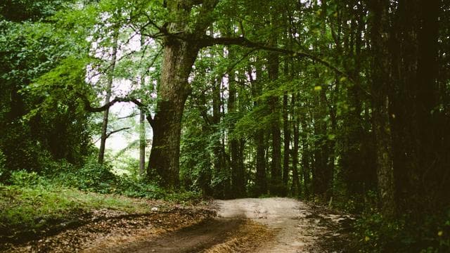 Acoustic guitar fingerstyle cover of popular songs medley