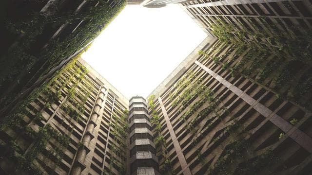 Sourdough bread baking complete guide for home bakers