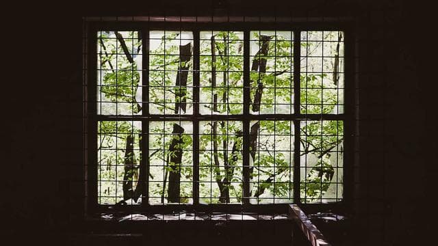 Street photography tips and tricks for beginners