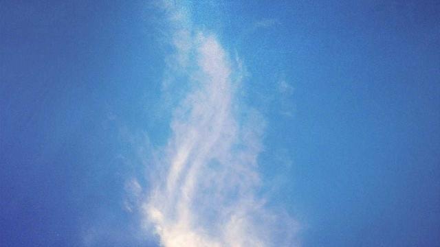 Japanese garden design principles and zen aesthetics