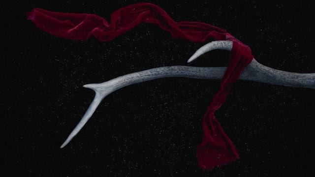 Cooking masterclass with world-renowned chef Gordon